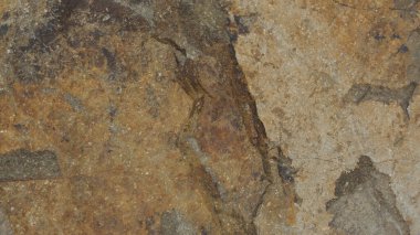 Natural stone texture with natural and abstract patterns. Images are suitable for use as wallpaper, or other graphic resources