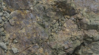 Engebeli, çatlak ve gözenekli toprak dokusunun detaylı yakın çekimi. Tasarım, jeoloji veya soyut sanat projeleri için doğal ve yıpranmış bir arkaplan sunan çatlakların ve küçük deliklerin karmaşık desenleri.