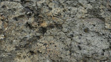 Engebeli, çatlak ve gözenekli toprak dokusunun detaylı yakın çekimi. Tasarım, jeoloji veya soyut sanat projeleri için doğal ve yıpranmış bir arkaplan sunan çatlakların ve küçük deliklerin karmaşık desenleri.