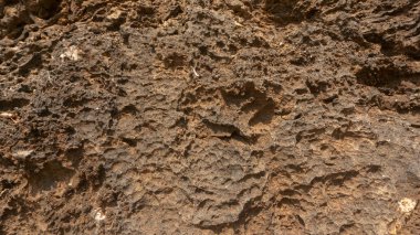 Engebeli, yıpranmış kahverengi kaya yüzeyinin detaylı yakın çekimi gözenekli dokusunu ve karmaşık doğal yapısını gözler önüne seriyor. Dünyevi arka planlar için ideal..