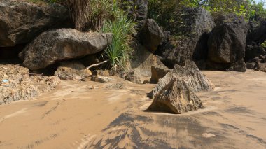 Belirgin karanlık volkanik kayaların, eşsiz dokulu kumun ve parlak bir gökyüzünün altında yemyeşil bir kıyı bitkisinin bulunduğu sakin bir sahil manzarası. Seyahat, doğa ve macera temaları için ideal.