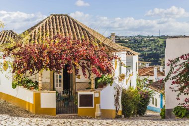 Portekiz 'in Obidos' taki geleneksel evinin dışı. Beyaz ve sarı cepheli renkli bir bina, tırmanma tesisleri, ve yaz günü mavi bir gökyüzü.