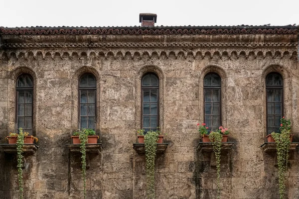Klasyczne Kamienne Okna Kwiatami Fasada Muzeum Archeologicznego Veliko Tarnovo — Zdjęcie stockowe