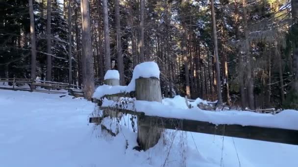 Χιόνι Στοιβαγμένο Ένα Ράντσο Στο Δάσος — Αρχείο Βίντεο