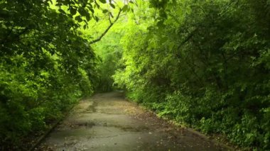 yağmurlu bir gün parkta