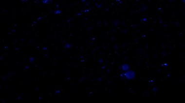 Soyut ışıklar bulanık noktalar