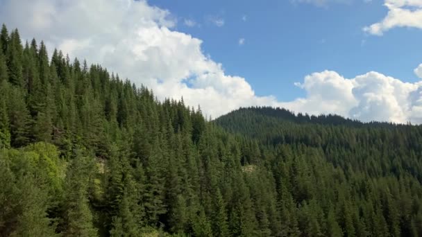 Rodopa Montaña Bosque Panorama Bulgaria Europa Del Este — Vídeos de Stock