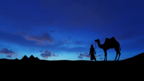 Camelo Com Motorista Camelo Contra Fundo Das Pirâmides Céu Escuro — Vídeo de Stock