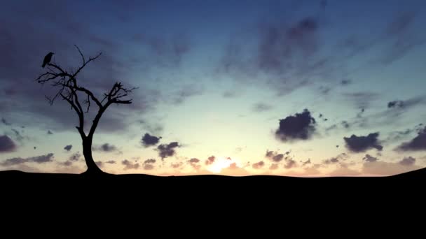 Silhueta Uma Árvore Morta Solitária Com Corvo Fundo Sol Nascente — Vídeo de Stock