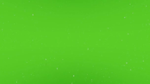 Slowly Calmly Snowing Green Background — Stock Video