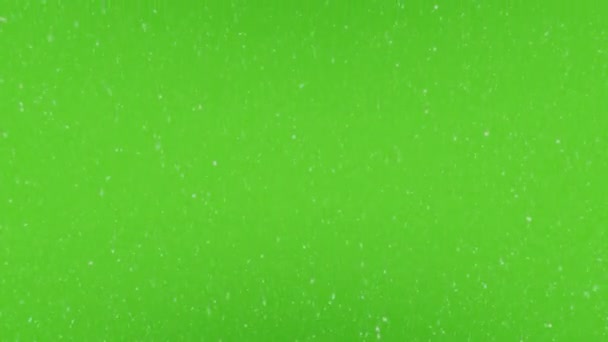 Schneit Stark Auf Grünem Hintergrund Schneefall Auf Grünem Hintergrund — Stockvideo