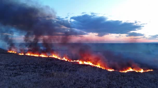 Görüntüsünde Bir Yangın — Stok video