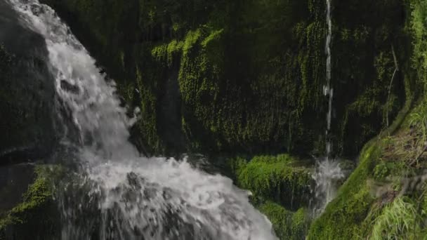 滝の緑の壁120 Fps落ち着いたリラックスしたビデオバックグラウンド ロイヤリティフリーストック映像
