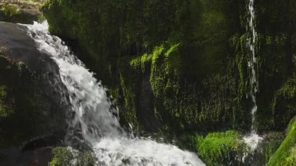 滝の緑の壁120 Fps落ち着いたリラックスしたビデオバックグラウンド — ストック動画