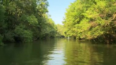 River Kamchia Bulgaristan Yeşil Orman tekne gezisi