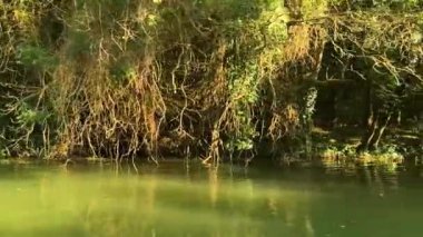 River Kamchia Bulgaristan Yeşil Orman tekne gezisi