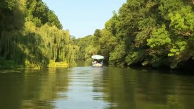 River Kamchia Bulgaristan Yeşil Orman tekne gezisi