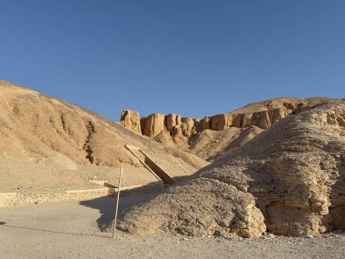 Güneş doğarken palmiye ağacı silueti