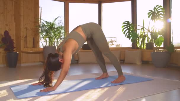 Slow Motion Aktive Asiatin Daunenpose Beim Yoga Nachmittag Hause Asiatin — Stockvideo