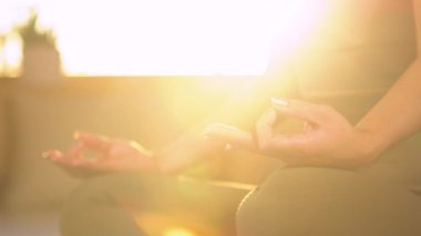 Gyan Mudra 'nın genç bayanın el hareketlerinin detaylı bir görüntüsü. Prana akışını canlandırmak için mudras yapıyorum. Nilüfer çiçeğinde meditasyon yaparken kadın yaşam enerjisini yoğunlaştırır.