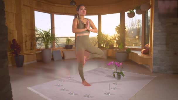 スローモーション リラックスした家庭的な雰囲気の中で 美しいアジアの女性 自宅のリビングルームで木ヨガのポーズを保持若いアジアの女性の人 天然バランスのための健康的な屋内レジャー活動 — ストック動画