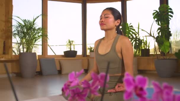 スローモーション Close リラックスした家庭の雰囲気の中で若いアジアの女性を瞑想 プラーナの流れを刺激するために泥を実行します 蓮のポーズで瞑想しながら生命エネルギーを強化女性 — ストック動画