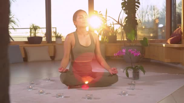 Moción Lenta Hermosa Mujer Asiática Meditando Respirando Profundamente Pose Loto — Vídeos de Stock