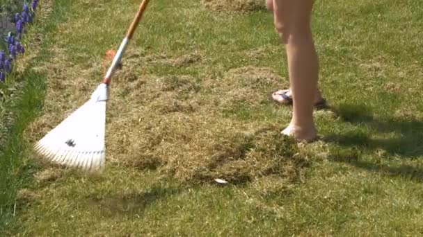 Close Young Woman Raking Piles Grass Felts Spring Lawn Aeration — Stock Video