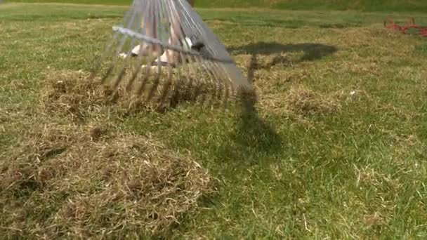 Geschlossen Junge Frau Harkt Nach Rasenlüftung Grasfilzreste Trockene Alte Grasreste — Stockvideo