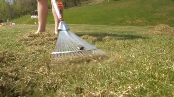 閉じる 若い女性が歩いて 芝生の通気後に乾燥した草のフェルトの杭をランク付けします 芝生を掃除することは 自宅の裏庭で空中芝生の後に残ります 緑の芝生の成長のための家庭菜園の仕事 — ストック動画
