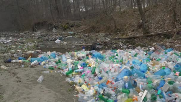 Тирана Альбания Март 2022 Многочисленные Пластиковые Бутылки Разбросанные Реке Речной — стоковое видео