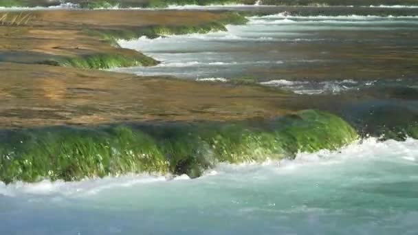 Close Detaljeret Visning Smukke Krka Flod Flyder Grønne Overgroede Kaskader – Stock-video