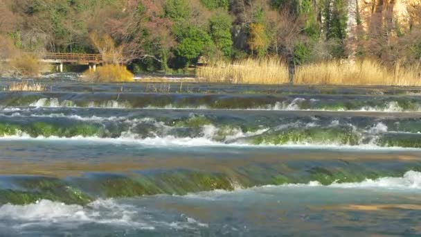 Κοντινό Πλάνο Γραφική Θέα Του Όμορφου Ποταμού Krka Που Ρέει — Αρχείο Βίντεο