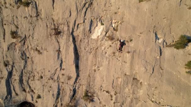Aerial Bergsteiger Mit Seil Das Die Sonnenbeschienene Kalksteinwand Hinaufsteigt Der — Stockvideo