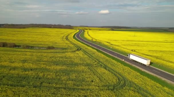 Aerial Różne Pojazdy Jadące Autostradą Otoczone Żółtymi Polami Rzepaku Ruch — Wideo stockowe
