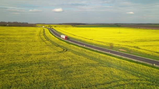 Erial 開花期の農場の風景の間を移動する配達任務の貨物トラック 黄色の菜の花畑の真ん中のアスファルト高速道路でトラックを輸送し 商品を配達するために移動します — ストック動画
