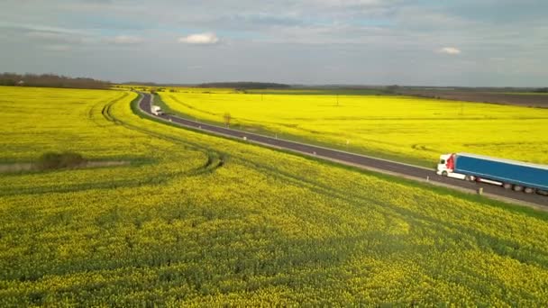 Kargo Kamyonları Arabalar Sarı Tarlalardan Geçen Otoyolda Ilerliyorlar Çiçekli Brassica — Stok video