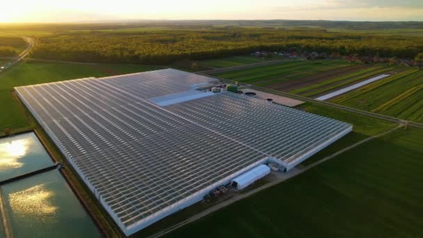 Aerial Estufa Grande Para Produção Vegetais Hidropônicos Luz Dourada Pôr — Vídeo de Stock