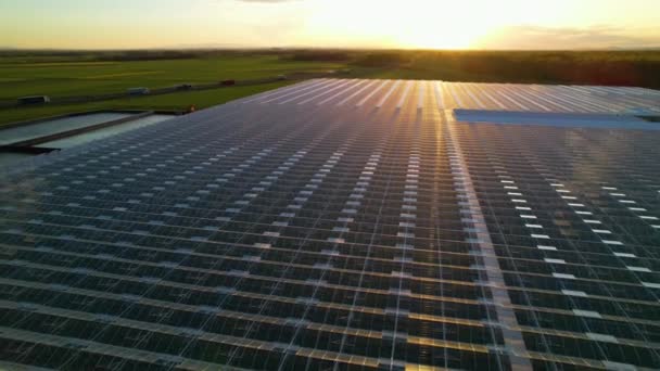Aerial Sol Dorado Reflejado Desde Techo Del Invernadero Agrícola Moderno — Vídeos de Stock
