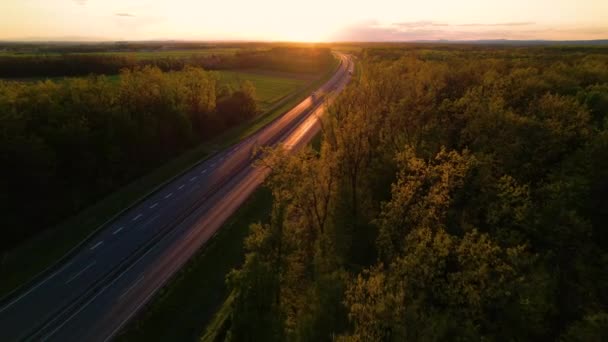 Aerial Транспортні Засоби Рухаються Сяючій Автомагістралі Оточені Деревами Заході Сонця — стокове відео