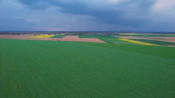 Aerial Vista Grandes Tierras Cultivadas Con Campos Cultivo Bajo Nubes — Vídeos de Stock