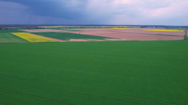 Aerial Vliegen Weelderige Landbouwgrond Naar Blauwe Trekker Actie Gekweekt Landschap — Stockvideo