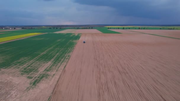 Aerial Blue Tractor Action Sowing Crops Rain Autumn Harvest Farm — Stock Video