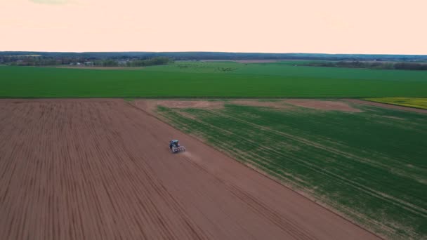 Aerial Ciągnik Sadzenie Nasion Polu Jesiennych Zbiorów Pochmurny Dzień Pracownik — Wideo stockowe