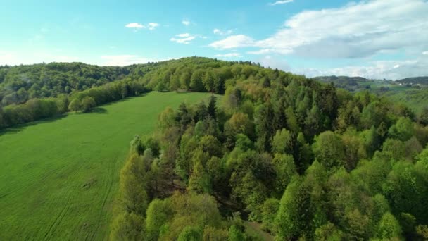 Aerial Volando Sobre Una Hermosa Colina Con Bosque Prado Verde — Vídeo de stock