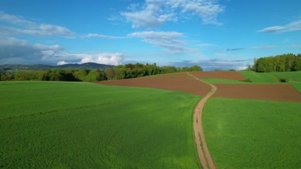 Yeşil Çayırlar Çiftlik Arazileriyle Çevrili Güzel Patikanın Üzerinde Uçuyorlar Çayırların — Stok video