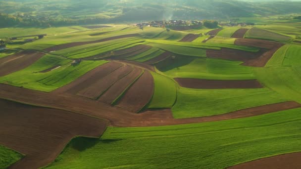 Çiftlik Arazisinin Ortasında Küçük Bir Köyü Olan Aerial Manzarası Yeşil — Stok video
