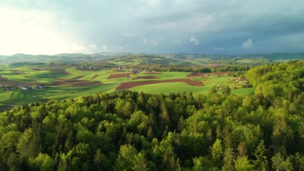 Aerial Avslöjande Flygning Över Lummiga Gröna Skogsträd Mot Jordbruksmark Ängar — Stockvideo