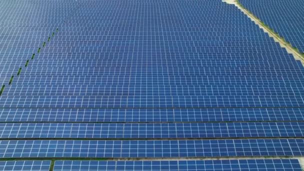 Erial 持続可能な電気生産のためのソーラーコレクターとの大規模なフィールド 代替エネルギー生産のための革新的な太陽光発電技術 持続可能な未来のための技術の現代的な利用 — ストック動画