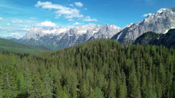 Aerial Létá Vysokým Zasněženým Alpským Štítům Nad Zeleným Smrkovým Lesem — Stock video